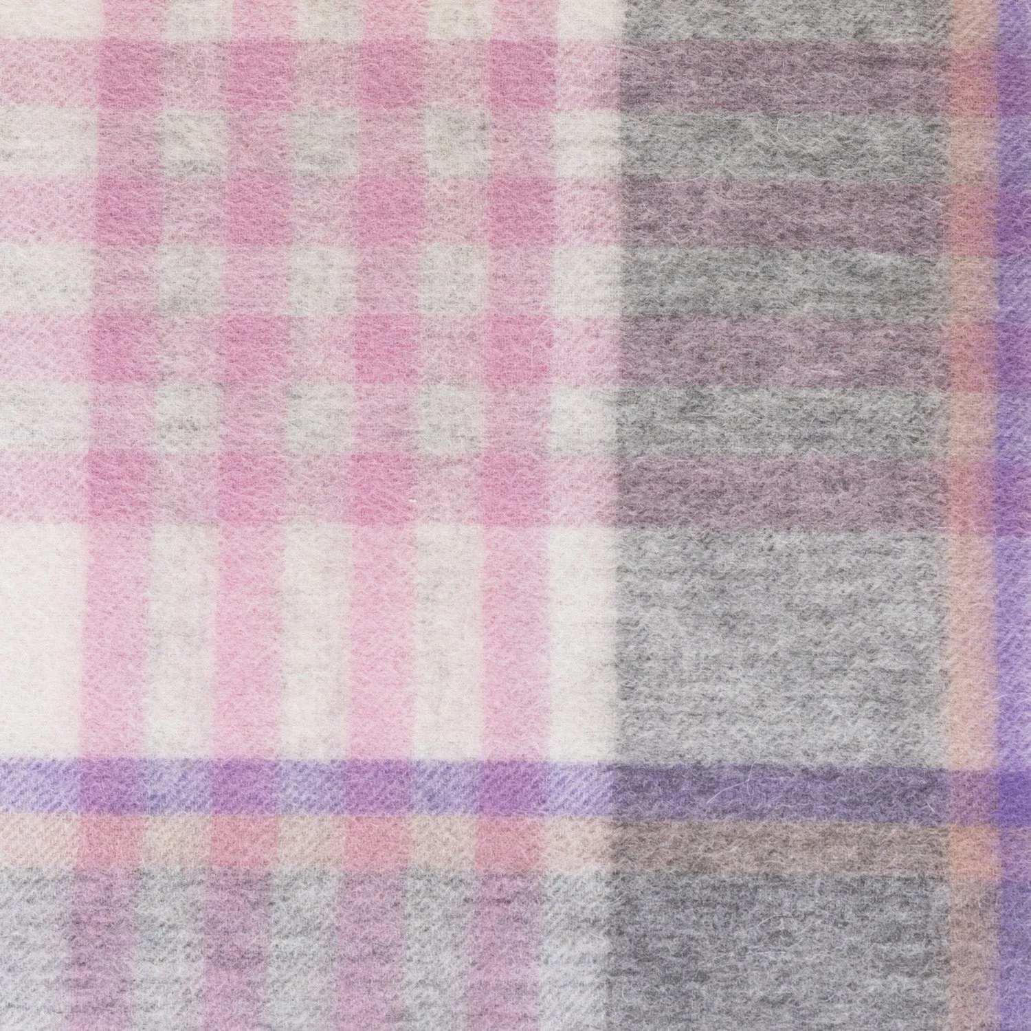 Edinburgh 100% Lambswool Scarf  Chequer Tartan Beige/Rose